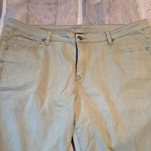 Lane Bryant Sage Green Skinny Jeans